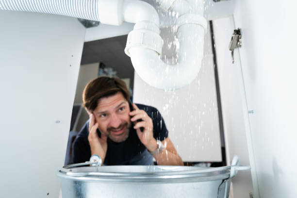 Best Affordable Plumber Near Me  in Humansville, MO